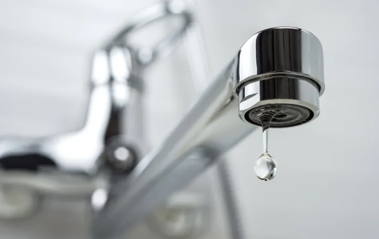 Faire appel à un plombier pour une fuite de robinet dans une douche neuve, Bordeaux, SVPC